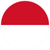 idr-icon