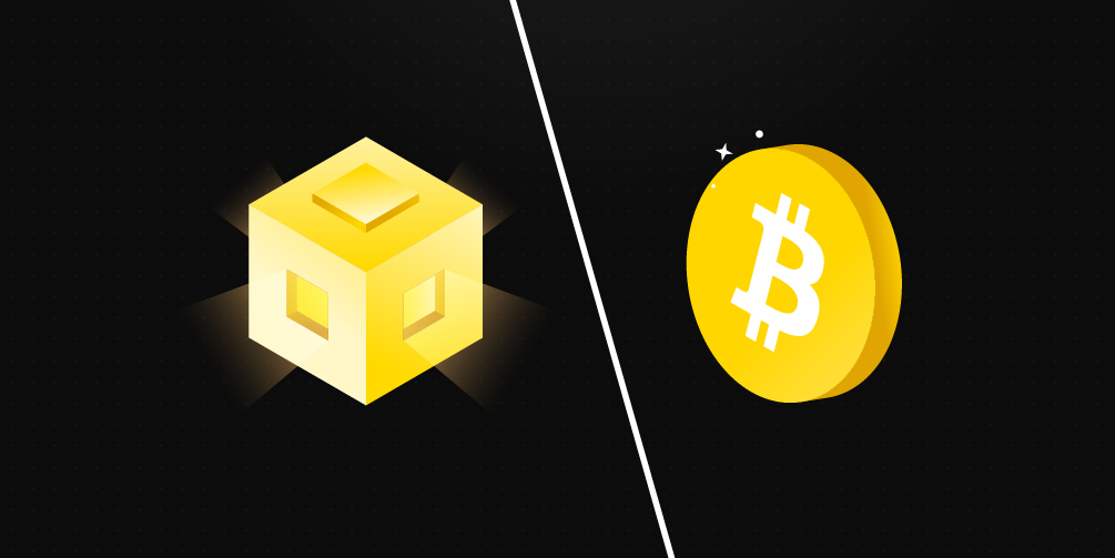 Blockchain and Bitcoin: Relationship and Fundamental Distinction