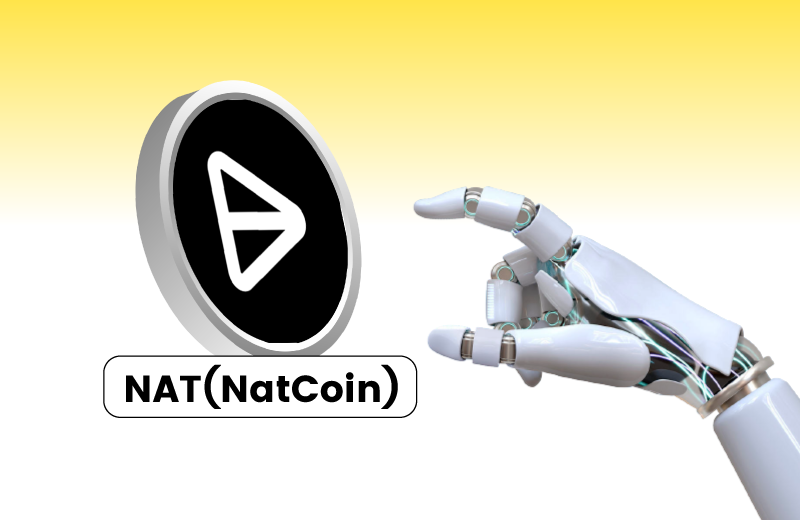 NAT