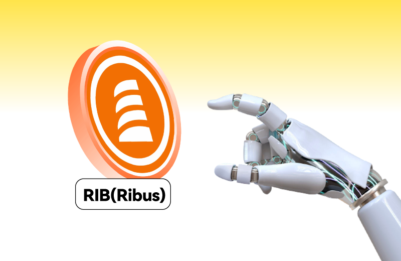 RIB