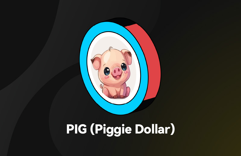 PIG