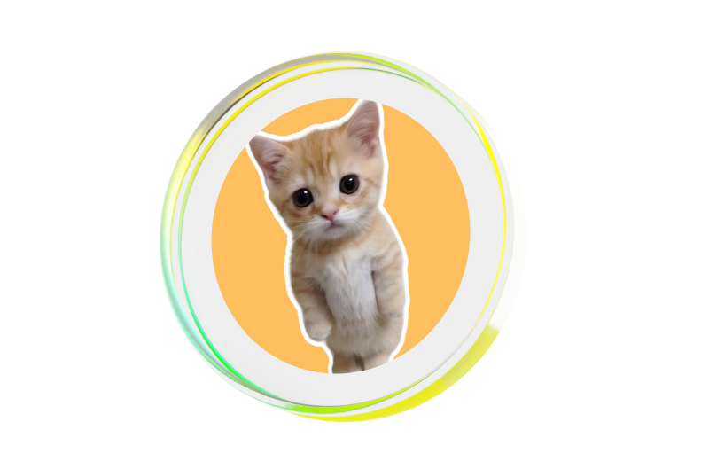 RUECAT
