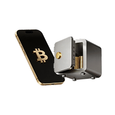 Carteras Calientes vs. Carteras Frías: Tu Cripto Necesita un Hogar