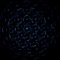 Dotzen