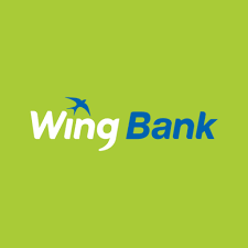 Wing Money