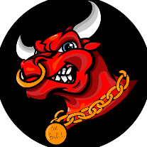 Dr BULL